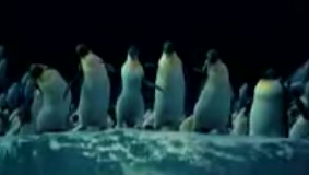 penquins singing