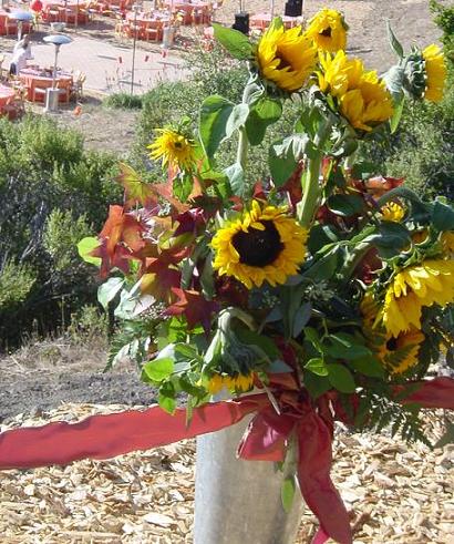 sunflowers